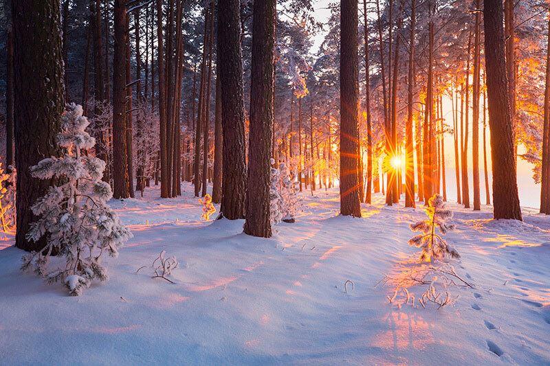  Winter Scene